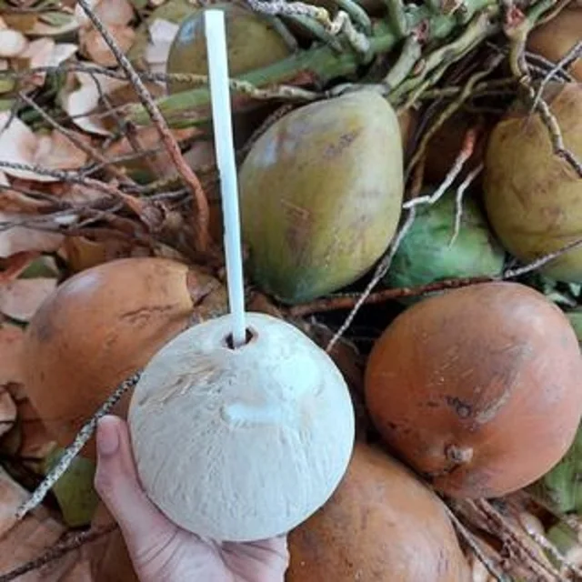 Лучшее качество молодой свежий