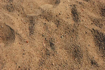 Wholesale Price Beige Color Slightly Bright Orange Original River Sand Suitable for all purpose From Malaysia