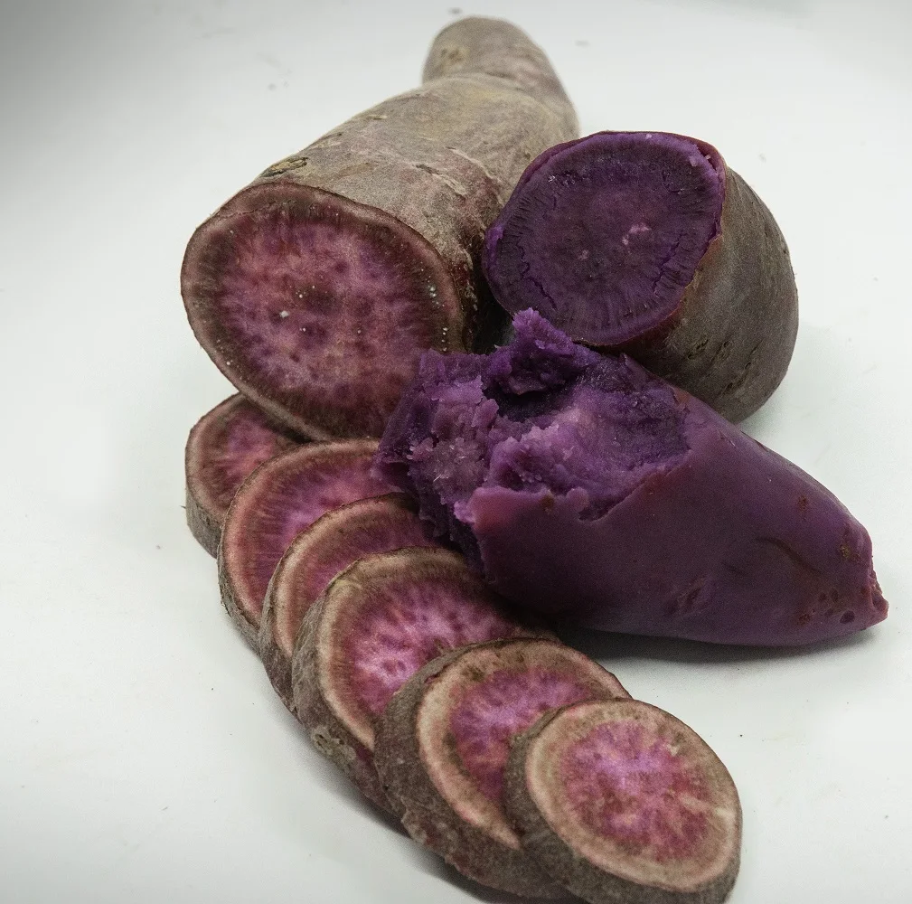 Export Wholesale High Quality  Fresh Sweet Potato