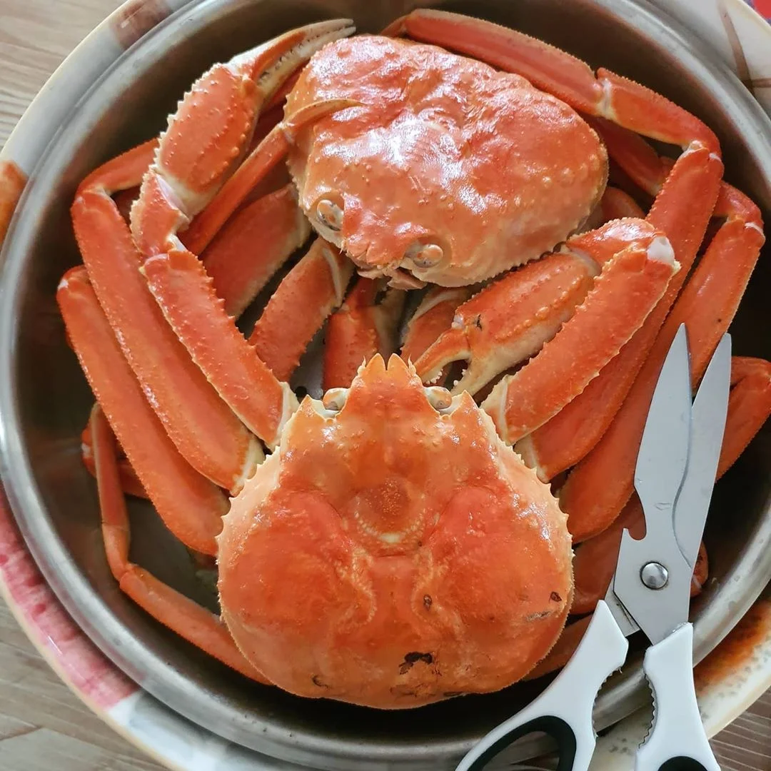 
Frozen cooked Snow Crab 