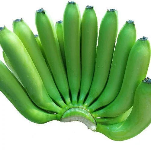 Green Organic Cavendish Banana for sale exporter