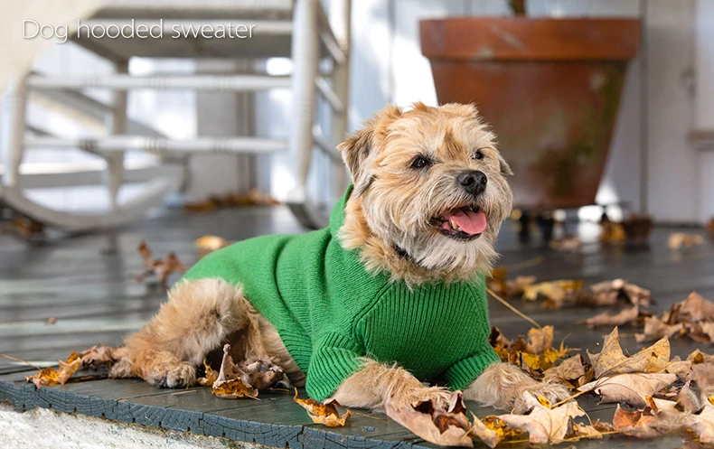 03Pet Hoodie Sweatershirt.jpg