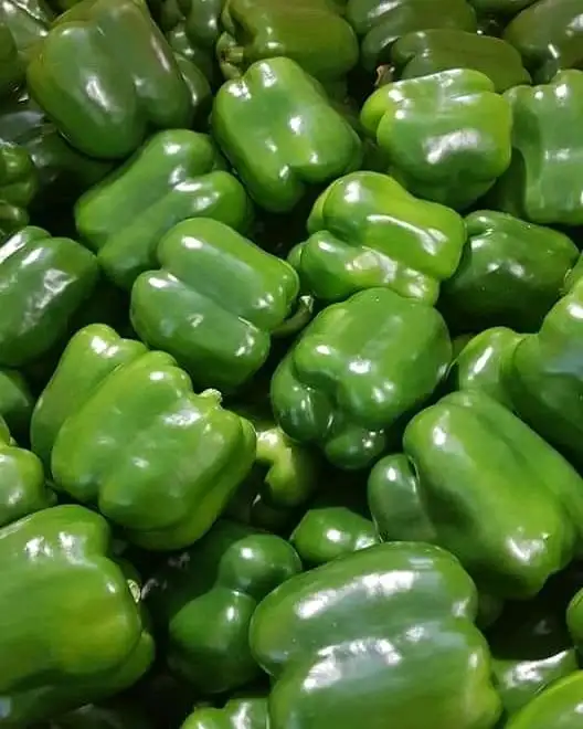 Fresh Capsicum Cheap Bell Pepper Green Yellow Red Sweet