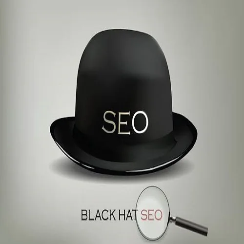 
 white hat seo and black hat seo  