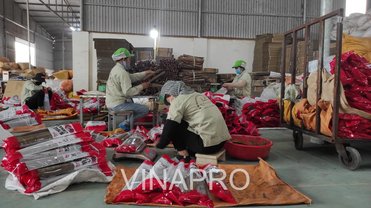 Whole cassia - Vietnamese origin - VINAPRO