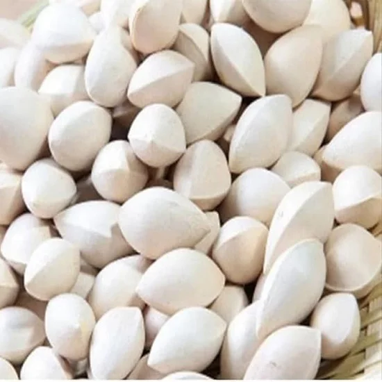 
Dealer Of Ginkgo Nuts Available 