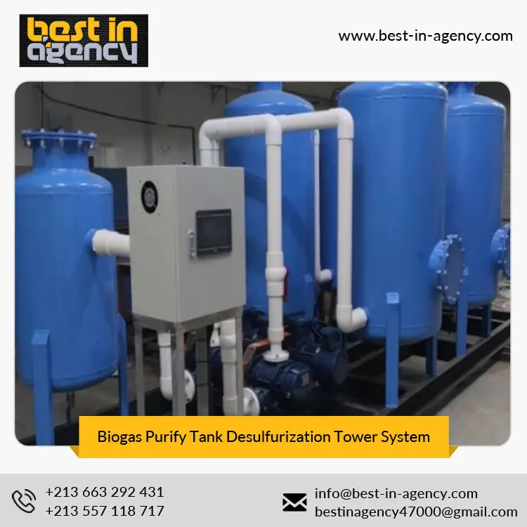 Electrical controlling Carbon Steel Biogas Blower Biogas Purify Tank Desulfurization Tower System