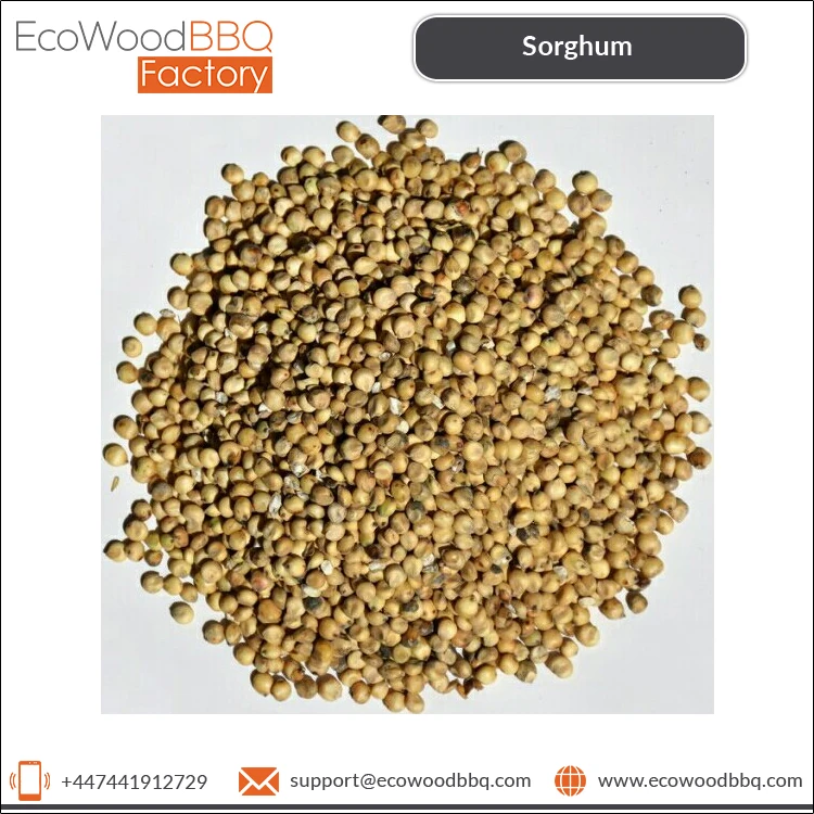 Direct Factory Price 100% Pure Natural Organic Bird Feed Sorghum Grains Kernel Seeds