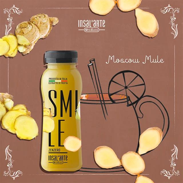 Высококачественный Итальянский Овощной фруктовый экстракт, имбирный сок, бутылка 500 мл, полезный напиток, имбирный сок, коктейль, фрукты, напиток