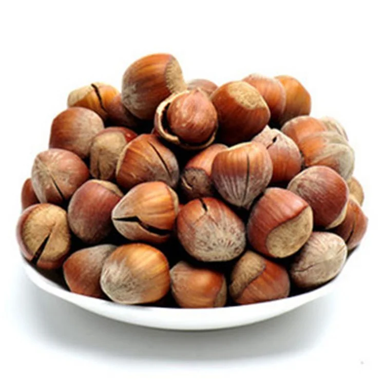 Blanched / Roasted Hazelnuts / Toasted / Hazelnut kernels Inshell / Organic Hazel Nuts