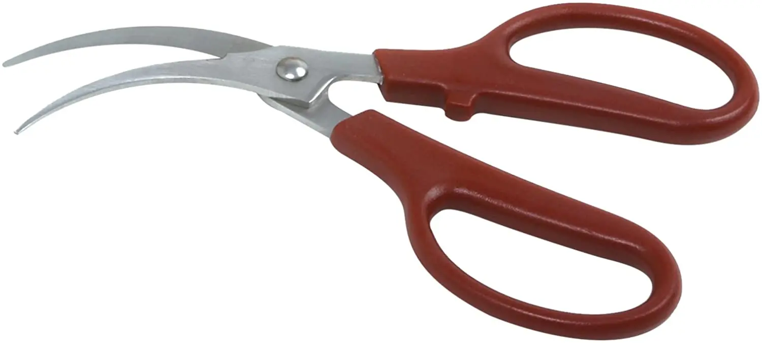 Plastic red handle curved sharp blade stainless steel Shrimp/Prawn Deveiner, Peeler scissors Made in Pakistan