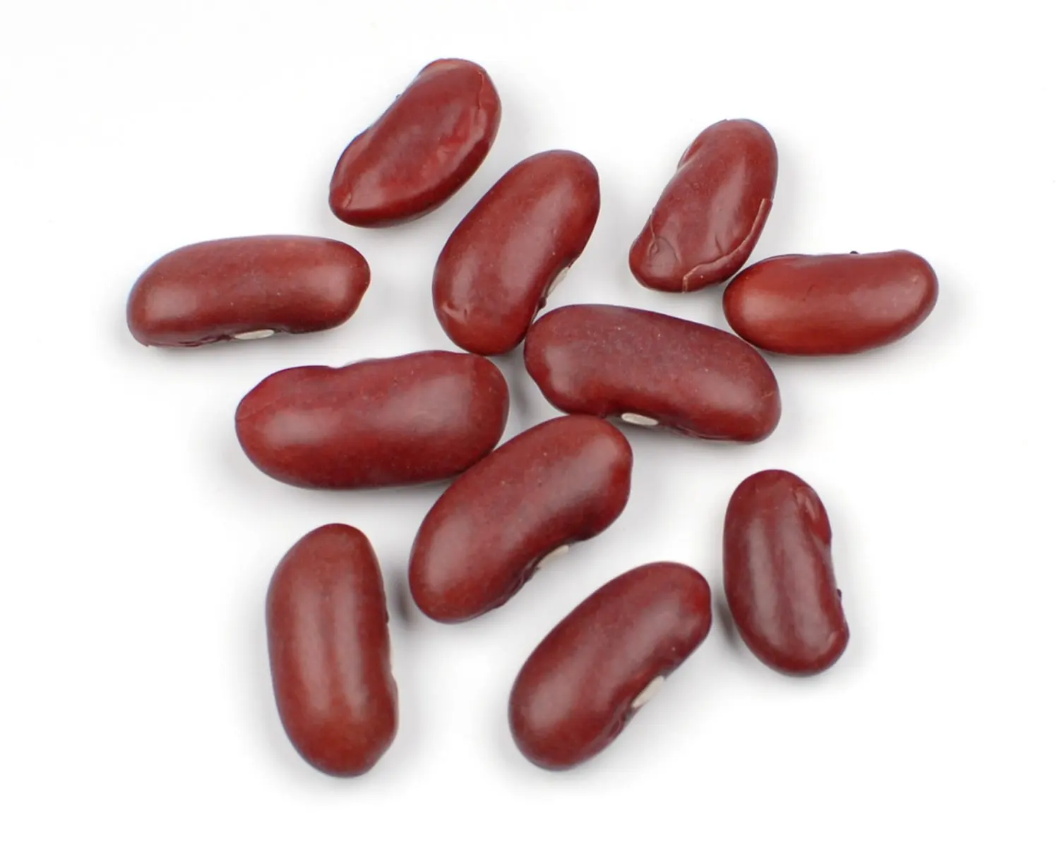 Quality Red Kidney Beans / Red Beans Price / Kidney Beans For Sale