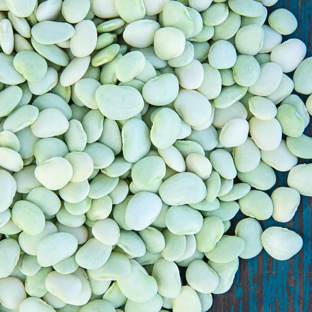 
Lima Beans Or White Beans for sale 