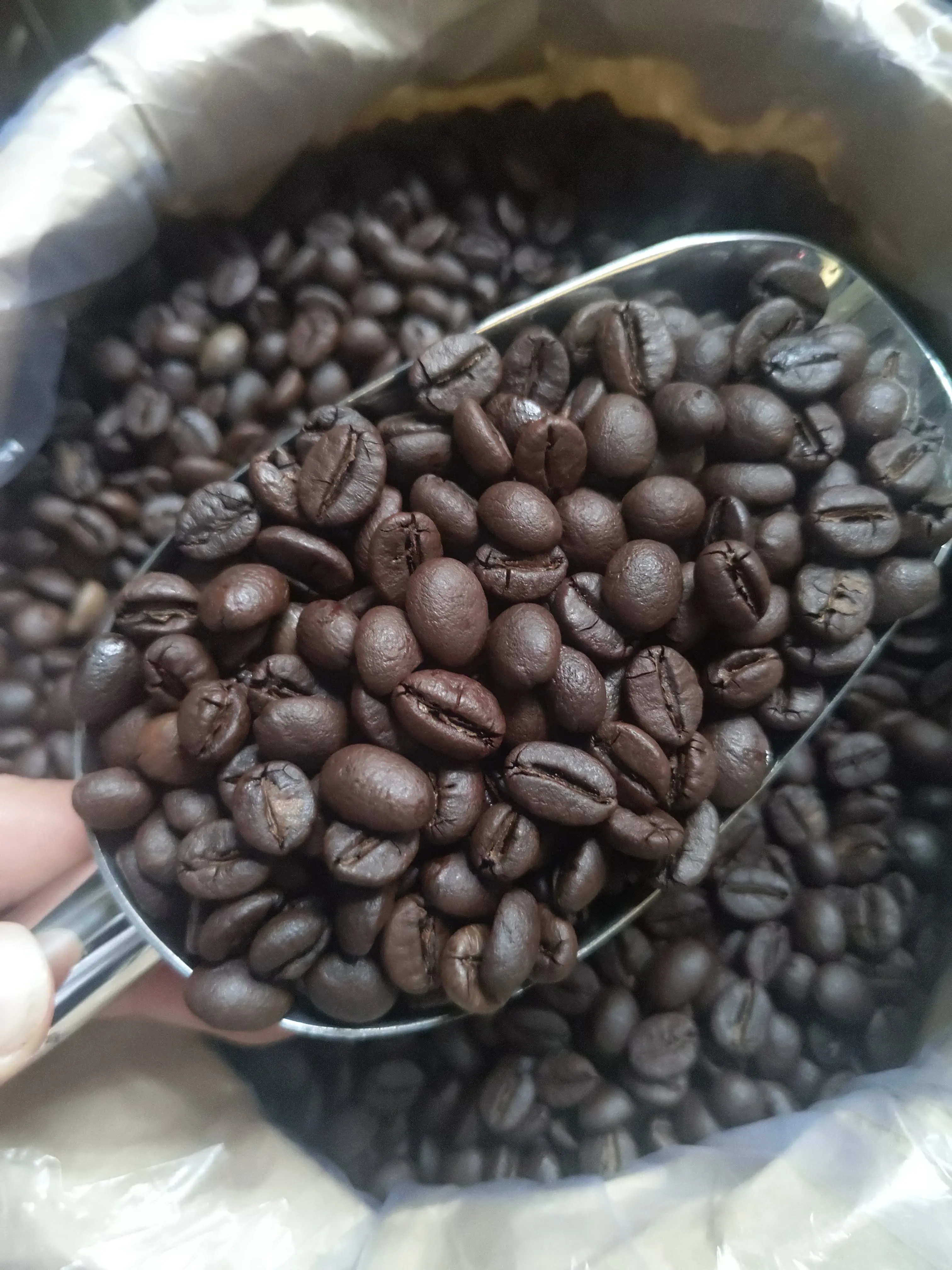 Заводская цена кофейные Зеленые зерна Robusta зеленые вьетнамские