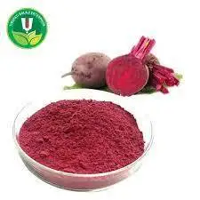 High Quality 100% Water Soluble  Natural  And organic certified   Dehydrated Beetroot powder   For sales Manufacturing in India