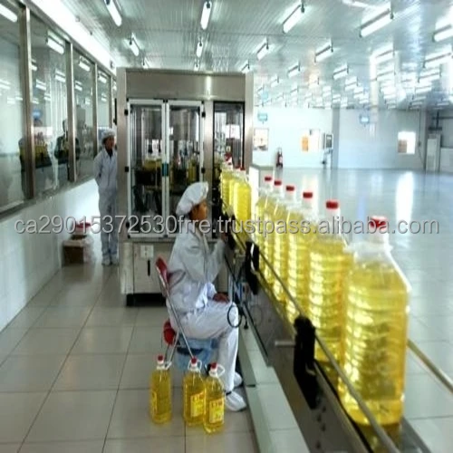 sunflower oil8.jpg