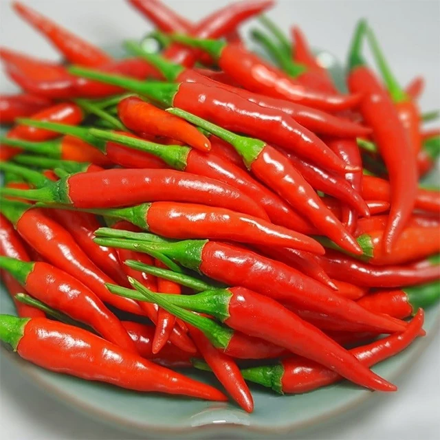 Fresh / Frozen Spicy Chili (Pepper) - Red Hot chili pepper wholesale