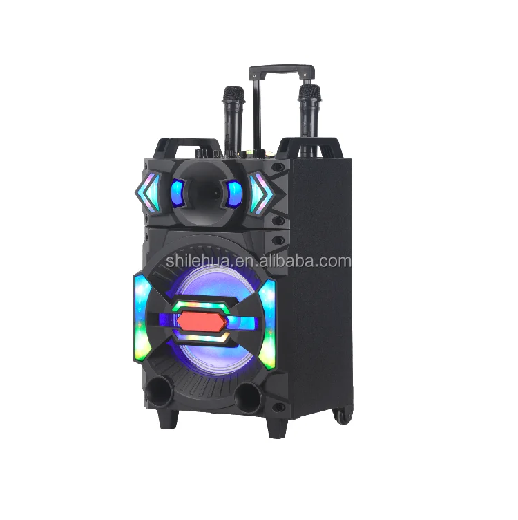 2021 new, 10 inch, trolley bass speaker, DJ sound effect, with USB TF BT TWS FM microphone