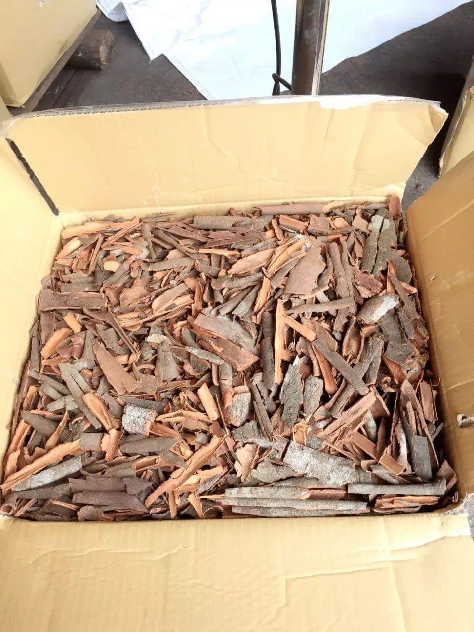 Kaneelbaum Broken/ Cinnamomum zeylanicum Blume/ Darchini New Crop 2021