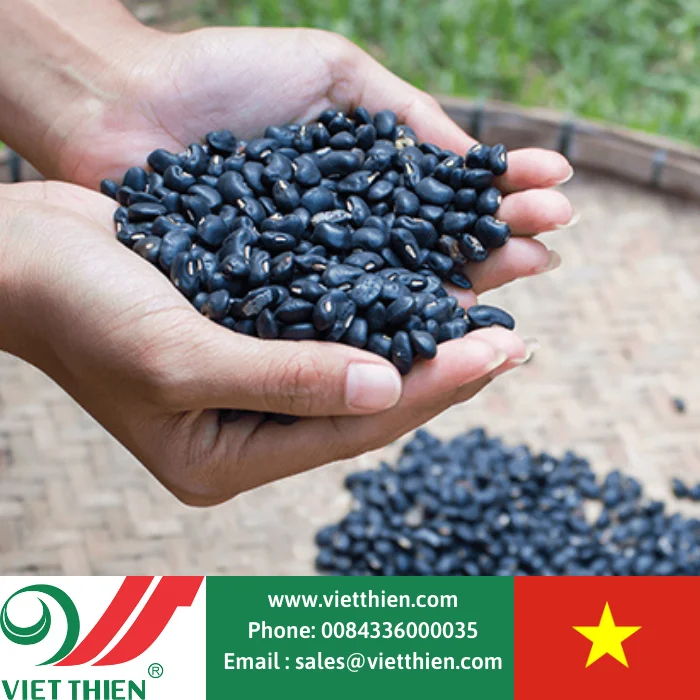 Черная фасоль с зеленым телом-это сырье для блюд а также продукты содержащие лекарственные травы которые полезны здоровья