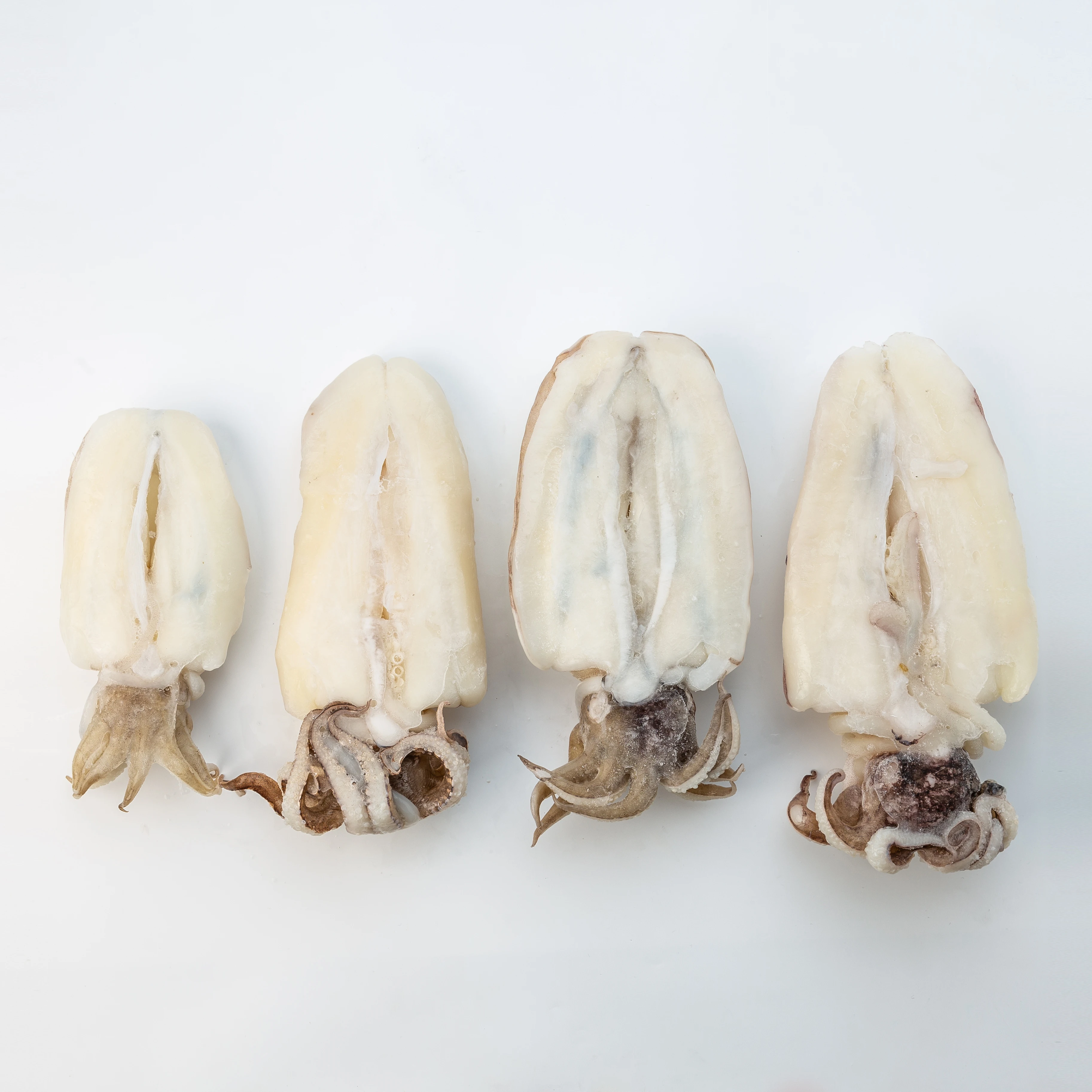 Frozen Whole Cleaned CUTTLEFISH IQF