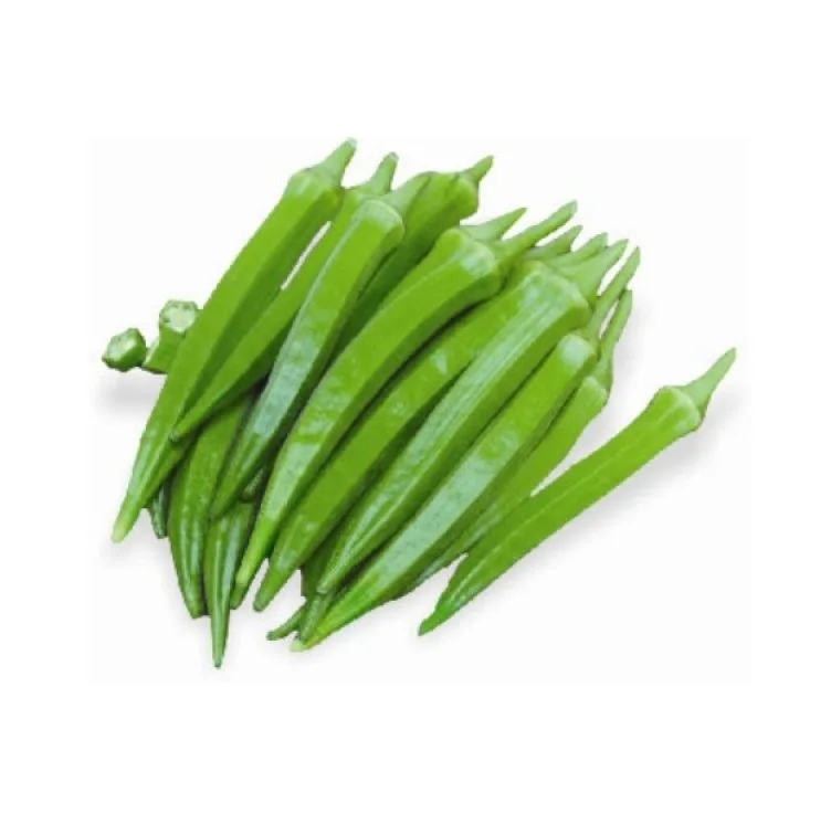 Best Seller Of Fresh Vegetables Okra At Low Prices