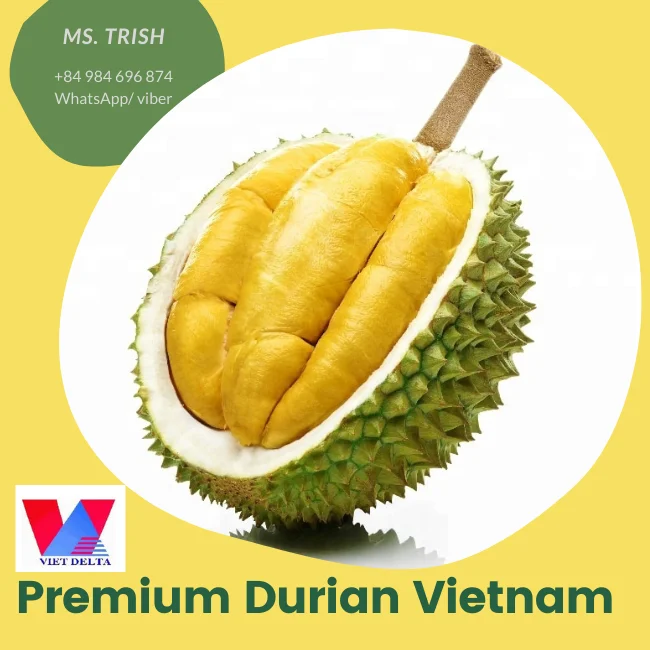 Вьетнам оптовая продажа высокое качество MONTHONG DURIAN/мисс Триш + 84 984 696 874