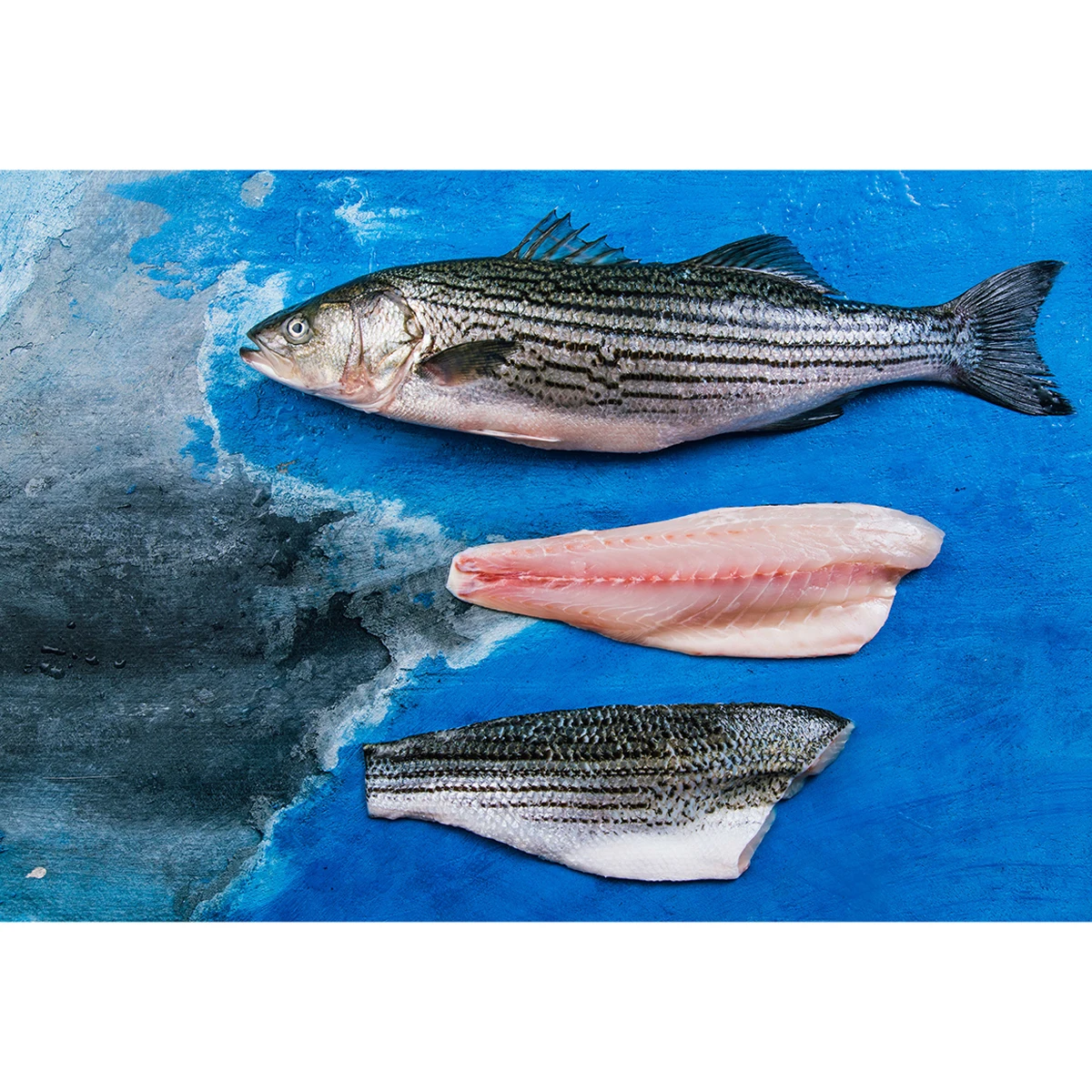  Вкусное здоровое морское питание высококачественное сосудистое филе для аквакультуры полосатая басовая кожа на ожогах PBO 24-36