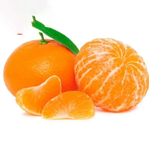 Pakistani Mandarin orange for Russian/oranges brands fruit