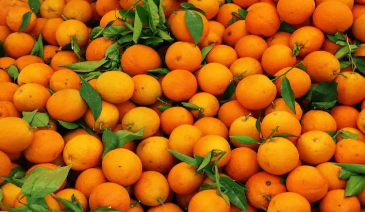 Natural Fresh Orange | Egyptian Origin | High Quality and Wholesale Price