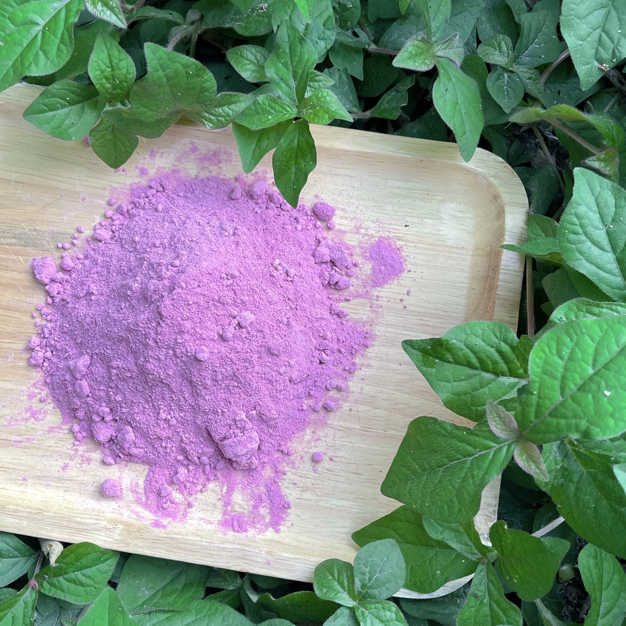Vietnam High Quality Purple Sweet Potato Powder
