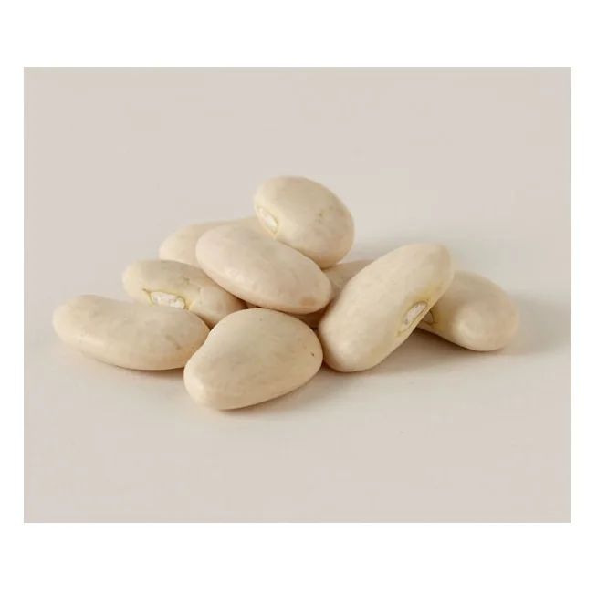 
fresh Dried BUTTER BEANS for Sale In Large Quantity At Wholesale Best Prices 