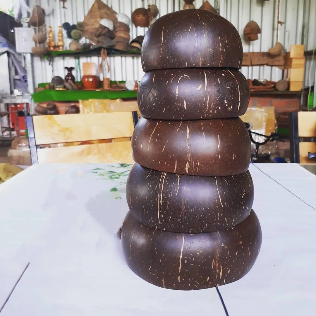 Wholesale Handmade Eco-friendly Beatiful COCONUT BOWL Made in Viet Nam