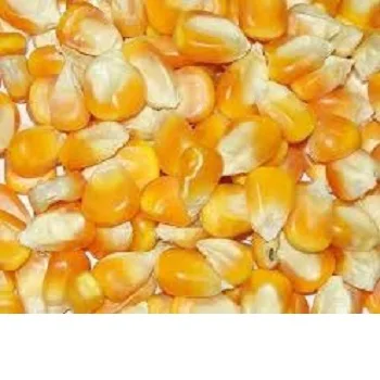 
MUSHROOM CHOPPED Canned Vegatables sweet Corn Baby pkt 