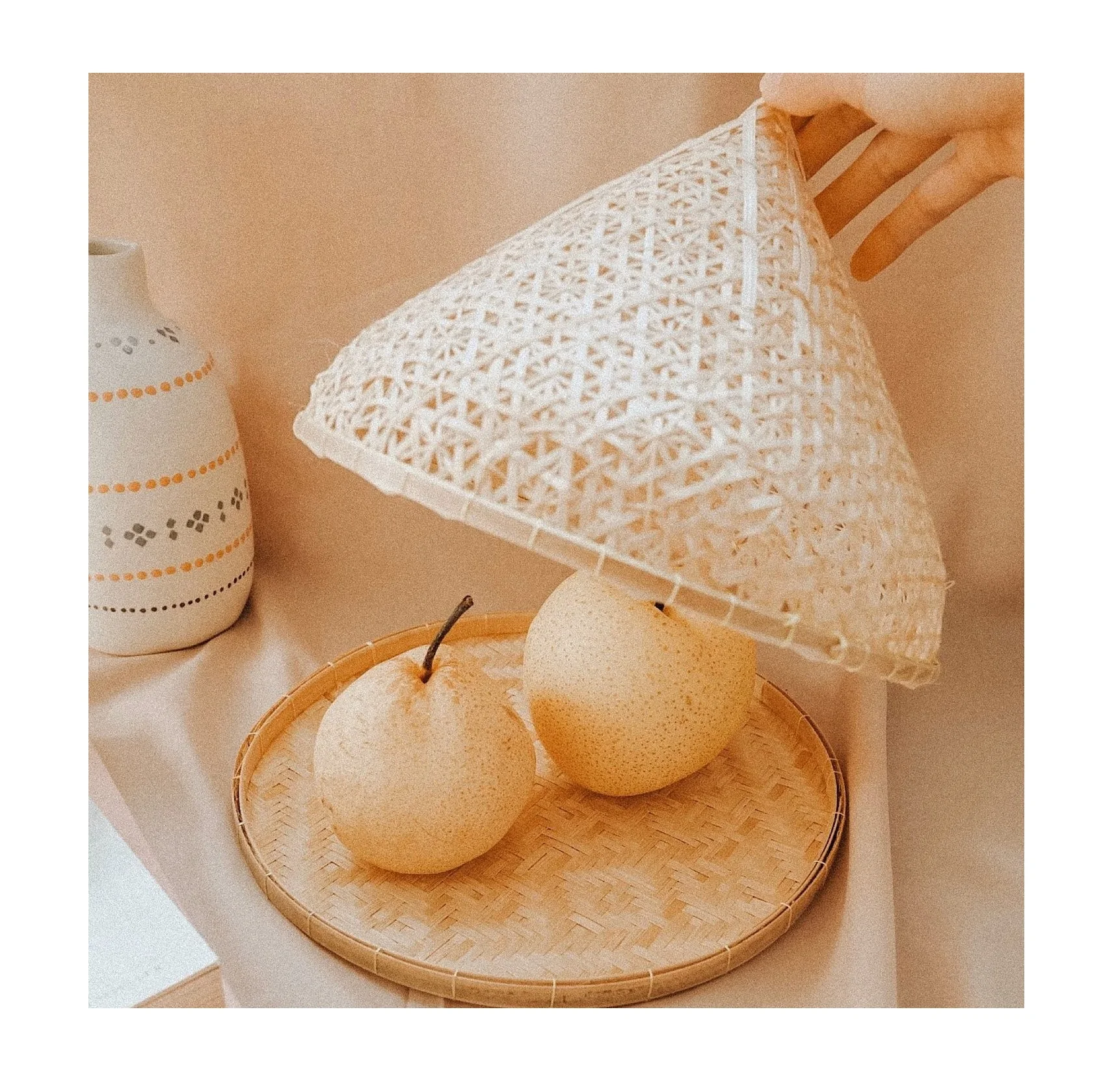 Modern style natural bamboo food cover wicker basket tent biodegradable supplier from Vietnam