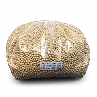 Высококачественные семена соевых бобов/соевых бобов на