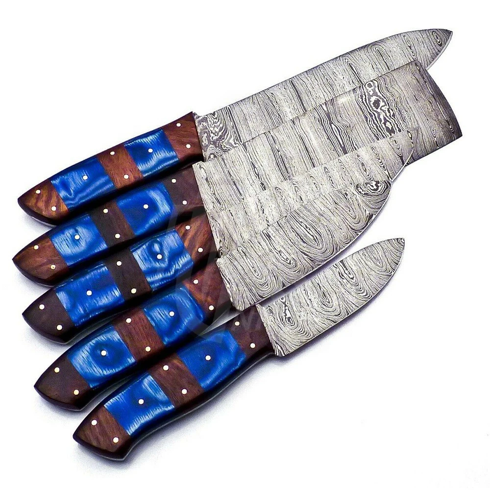 6 pieces Custom handmade Damascus chef knives set with knives sheath/cover