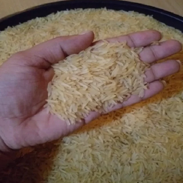 High quality with 100% natural BASMATI RICE SUGANDHA GOLDEN SELLA from Indian origin with great aroma