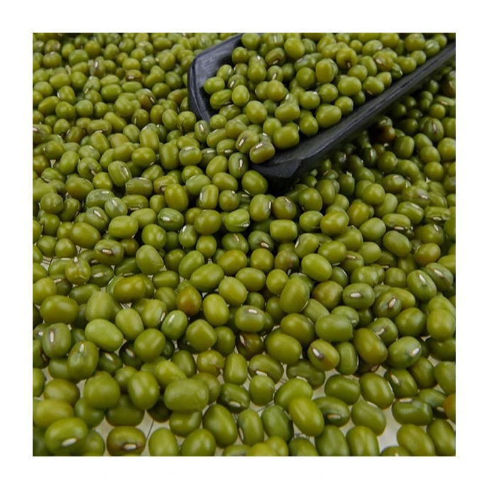 
2021 Best Price Top Grade Wholesale Vigna Mung Beans / Green Mung Beans 