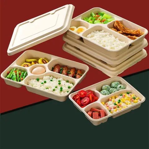 Biodegradable Disposable Sugarcane Bagasse Food Container 4 or 5 Compartment Take Away Lunch Box with Lid