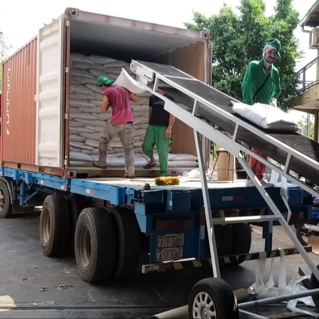 
conventional chia seeds 