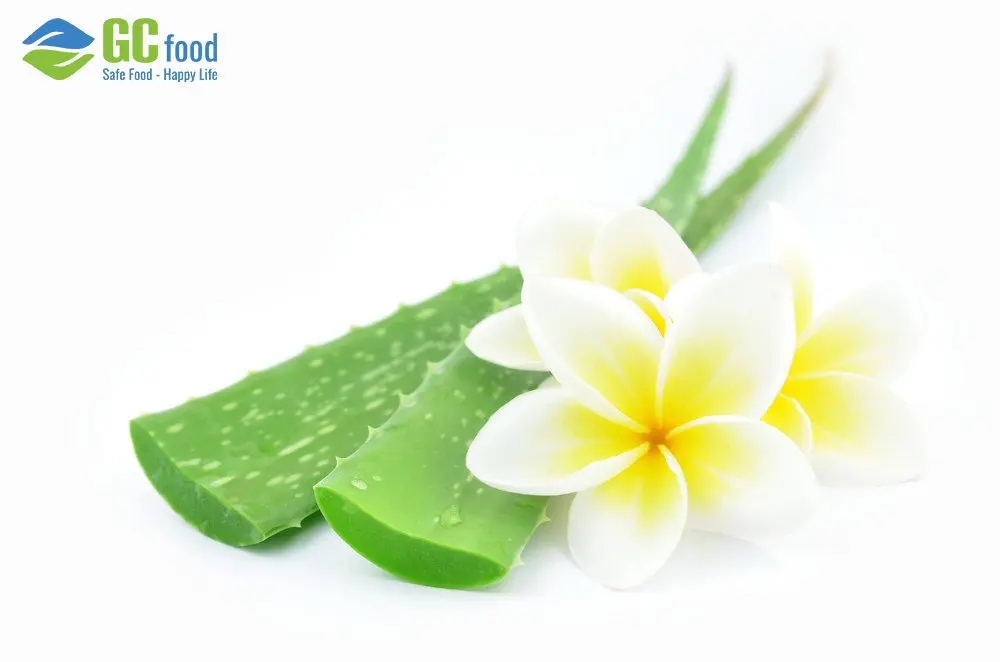 (GCFOOD) Aloe Vera Gel Dice Pulp High Quality/Ms.Anna+84 364930172