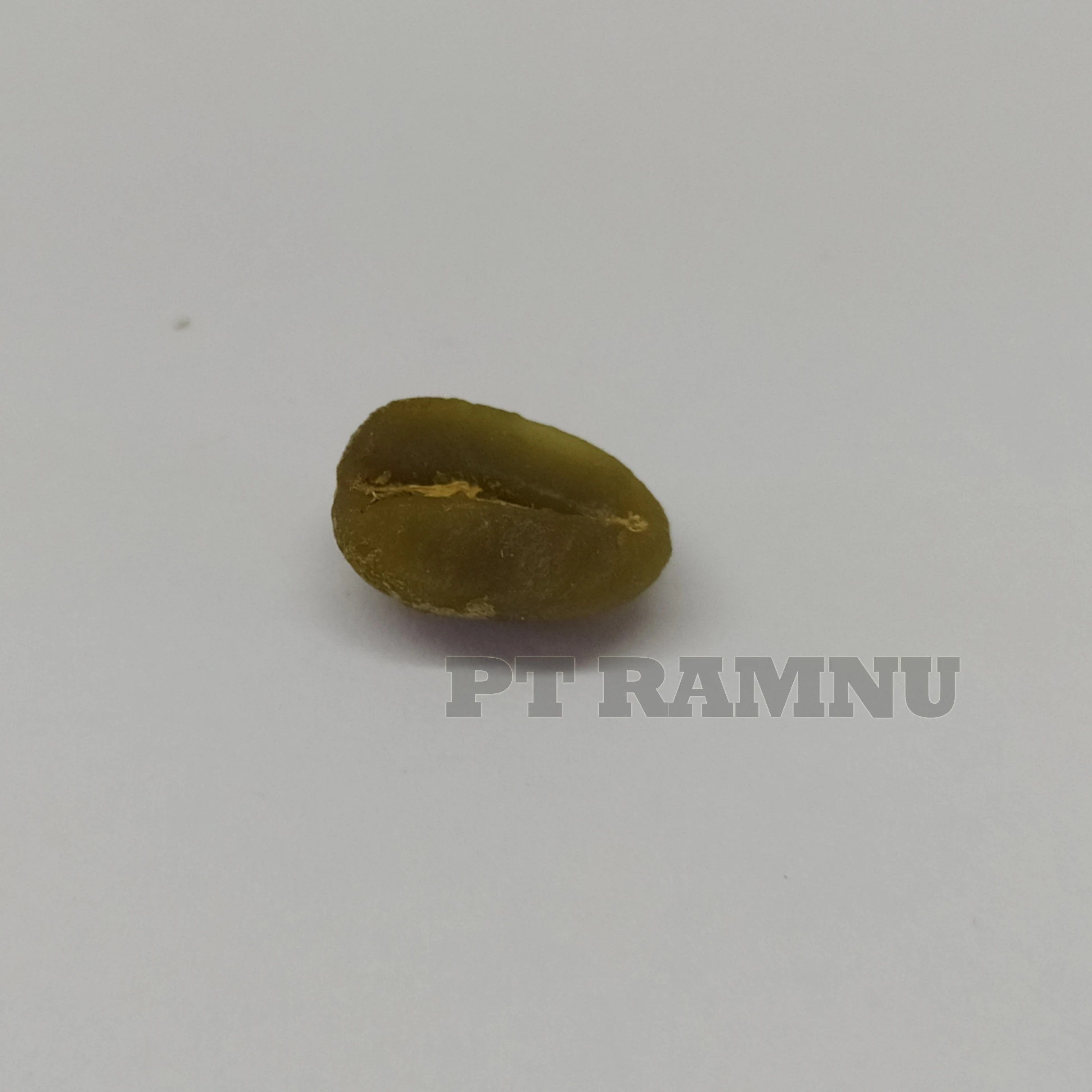 
Green Coffee Beans Robusta from Indonesia 