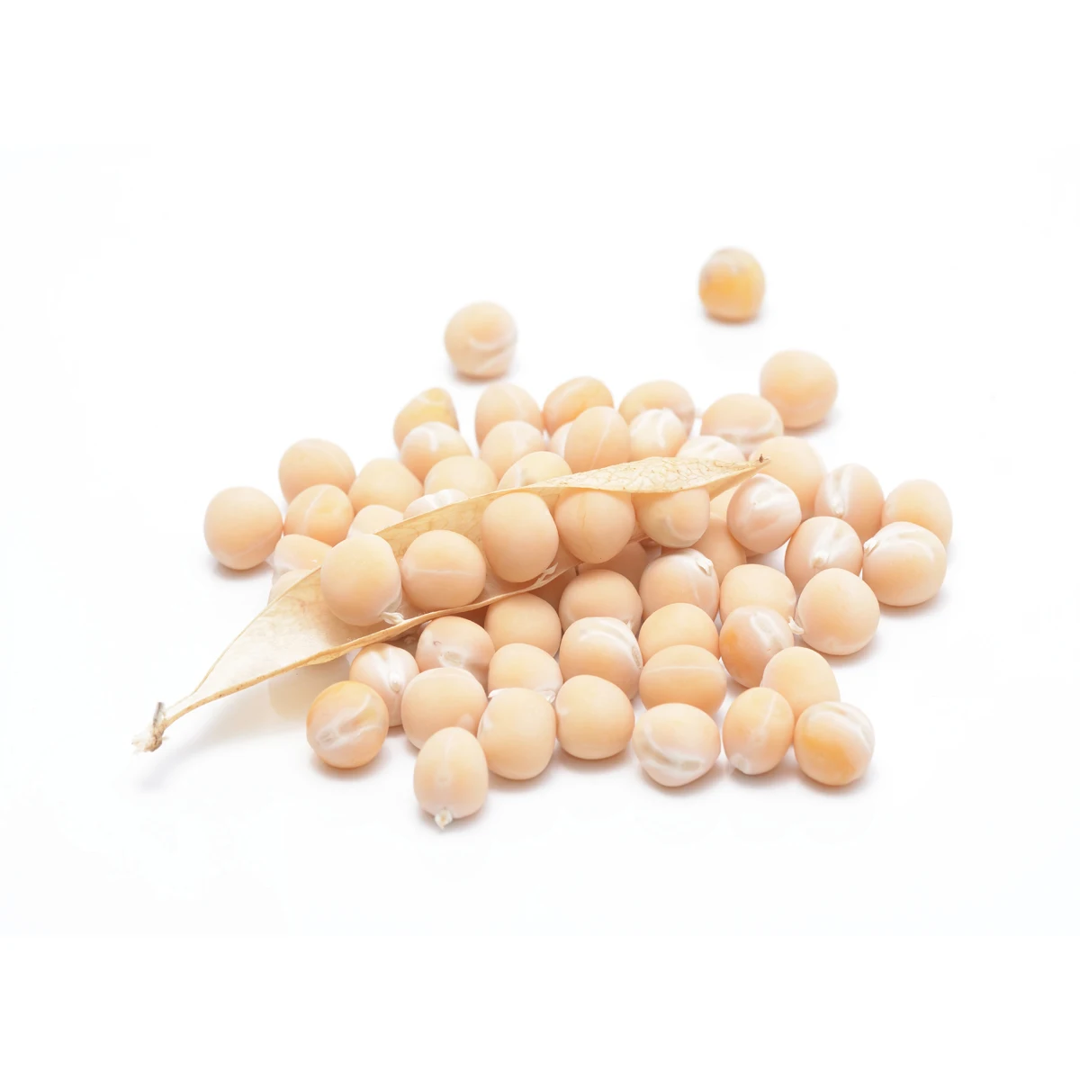 Good quality yellow peas whole for food production, pea protein