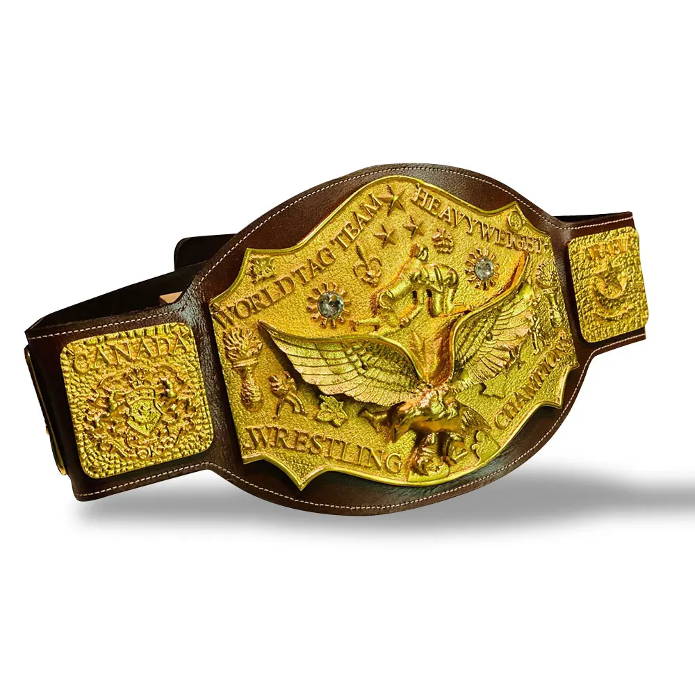 NWA World Tag Team Championship Belt