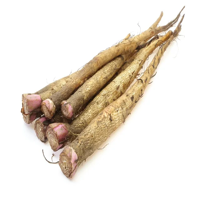 
Pure Natural Burdock Root Extract burdock root extract Health care burdock root extract 