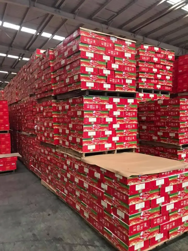 Tomato Paste 28-30% 36-38%, Canned Tomato