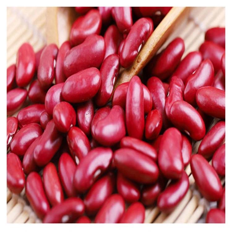 wholesale dried organic red beans dark red kidney beans