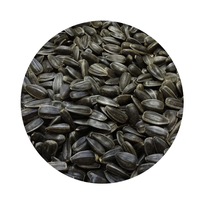 Высококачественные натуральные семена подсолнечника, доставка по всему миру