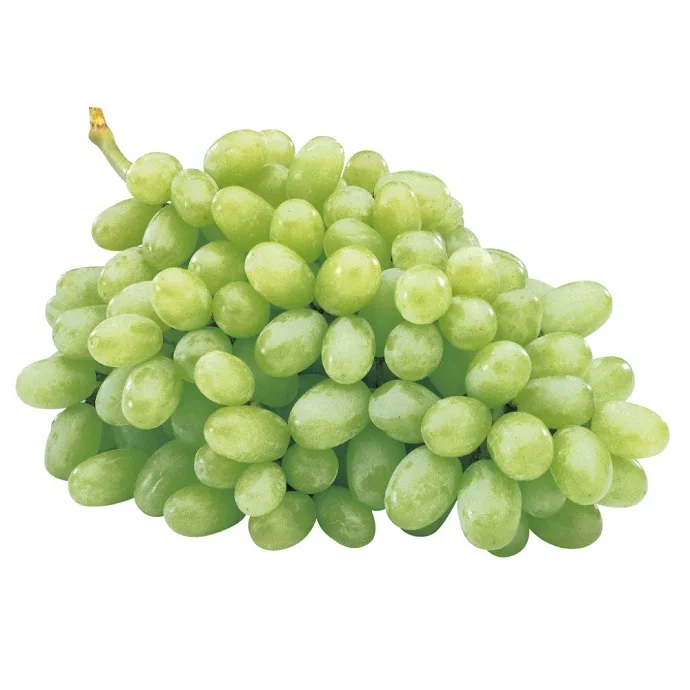 
BEST QUALITY Fresh Grapes for Sale 